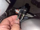 IMG_1847.jpeg