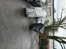 20251224_101204.webp