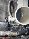 IMG_7085.jpeg