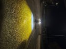 IMG_1070.jpeg