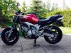 fz6.jpg