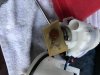 FUEL FILTER.jpg
