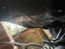 IMG_6683.jpeg