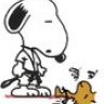 Karate.Snoopy