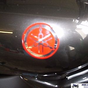 tonys fz6
