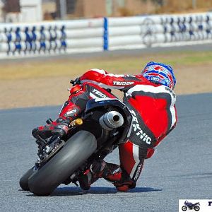 FZ6 Cup