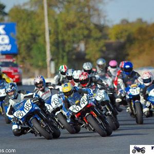 FZ6 Cup