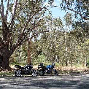gumeracha