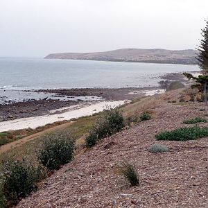 south coast