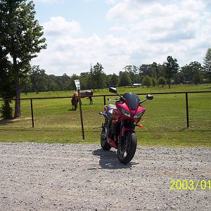 lakeshore_dr_007