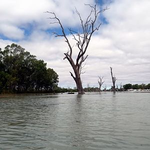 River Muray - Riverland
