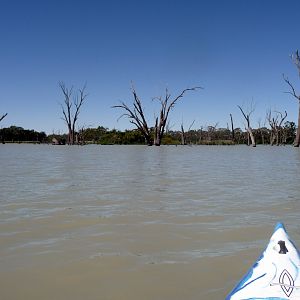River Murray - Riverland