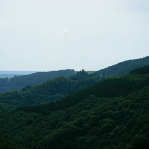 trier20