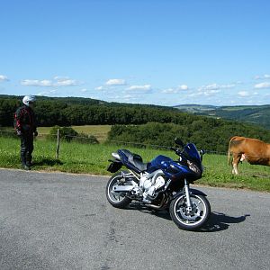 trier33