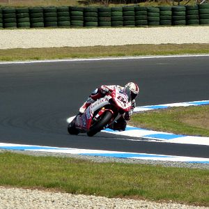 P1030005_crop