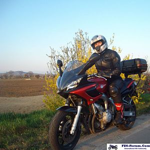 Rady_on_the_road