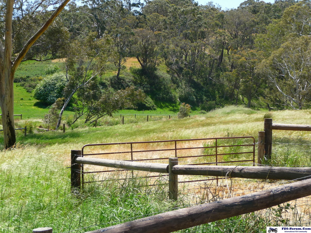 Adelaide Hills