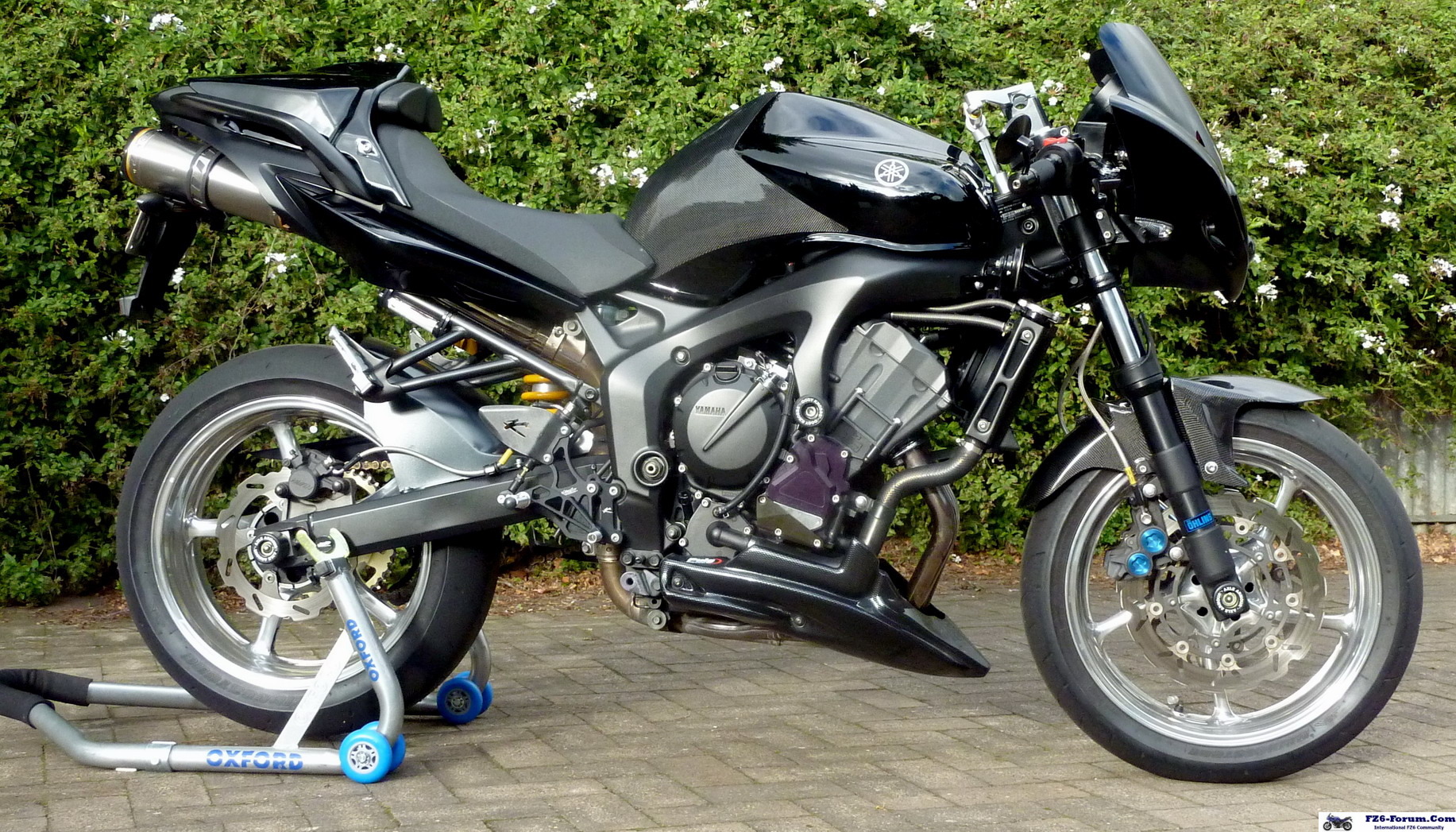 Cafe Fighter June 2010!