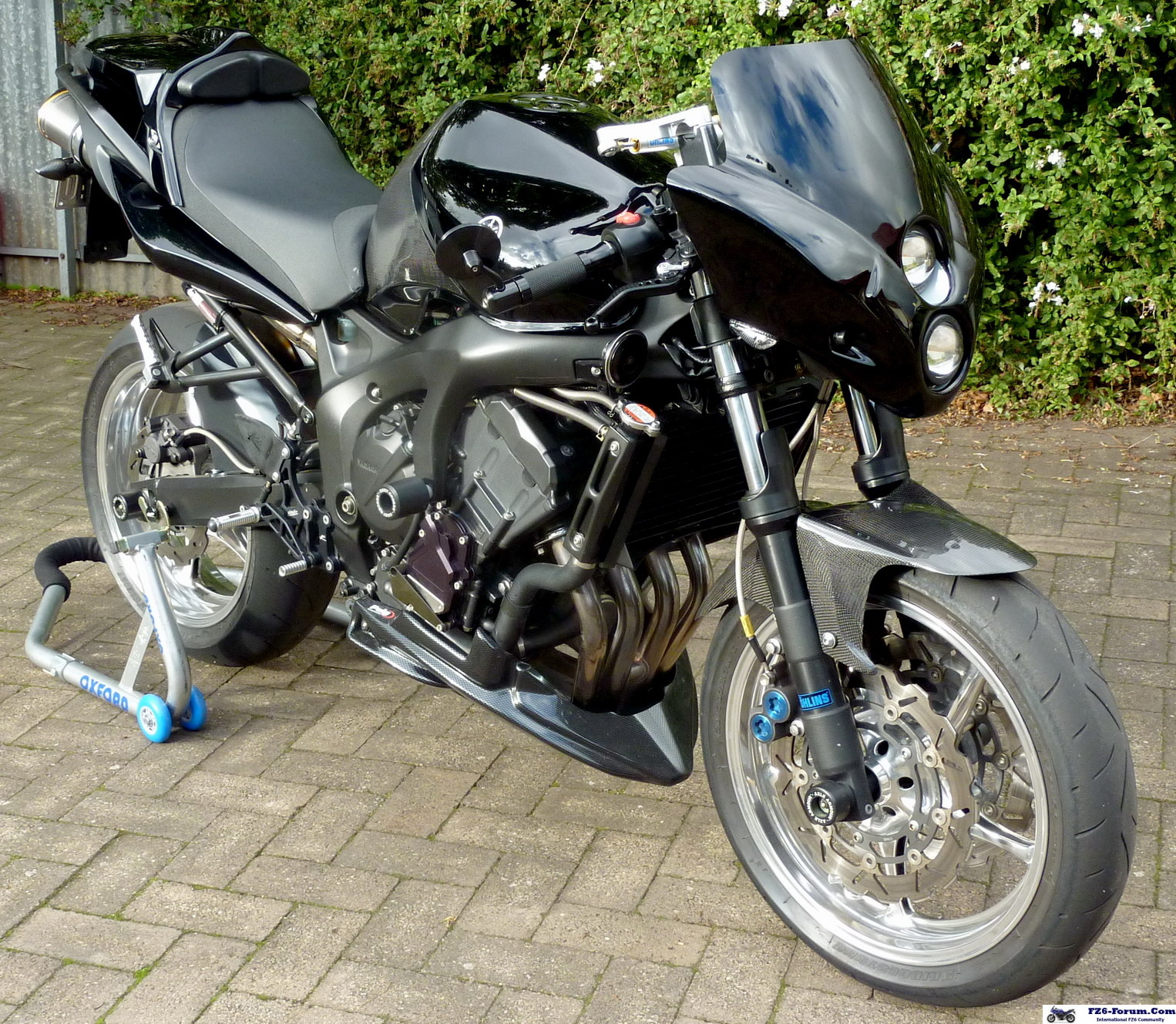 Cafe Fighter June 2010!