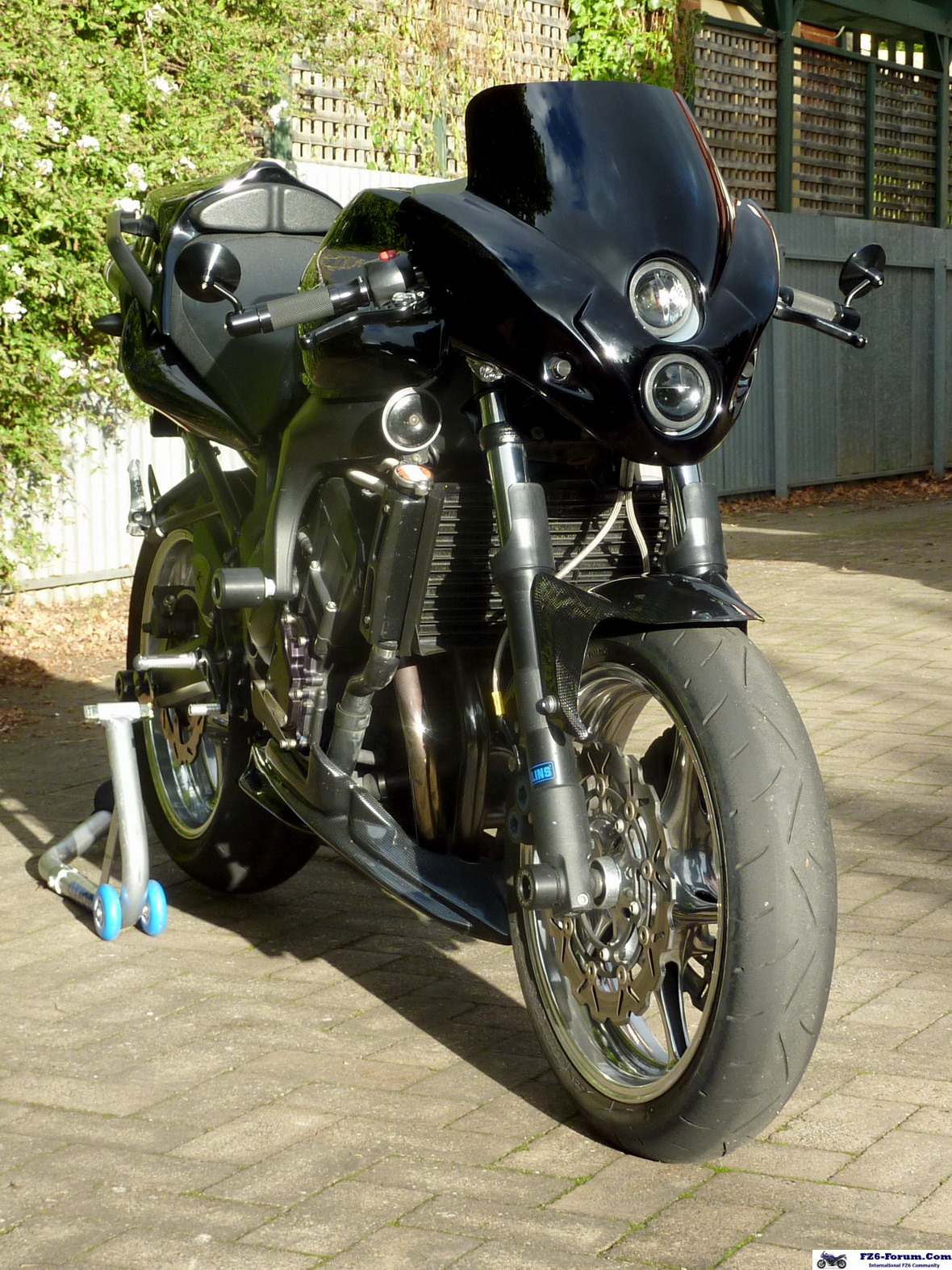 Cafe Fighter June 2010!