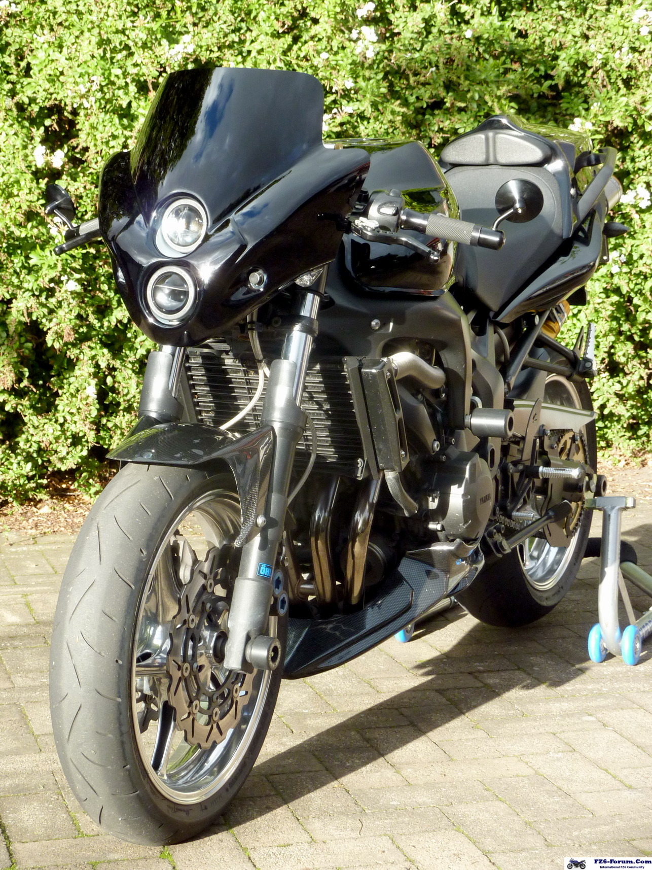 Cafe Fighter June 2010!