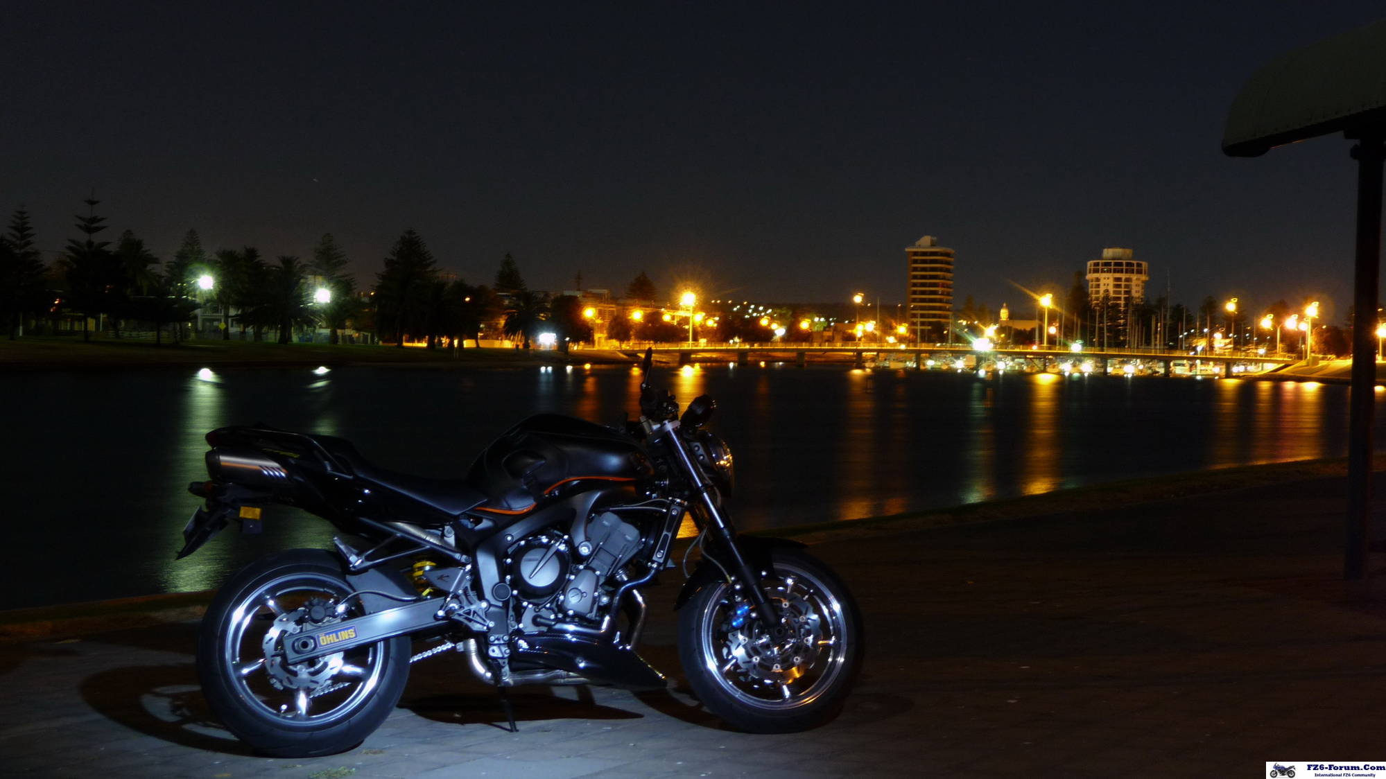 DAMIEN AT THE BAY, AT NIGHT.