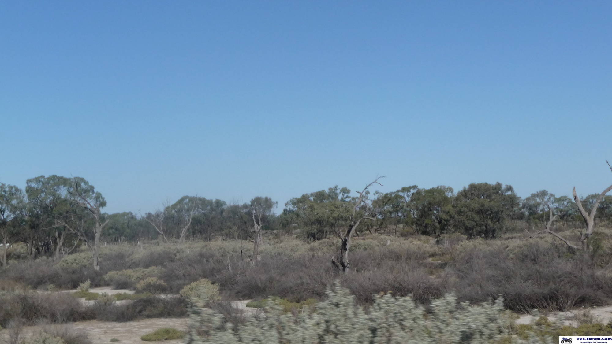 Drought in the Riverland - South Australia