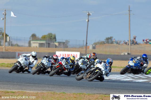 FZ6 Cup