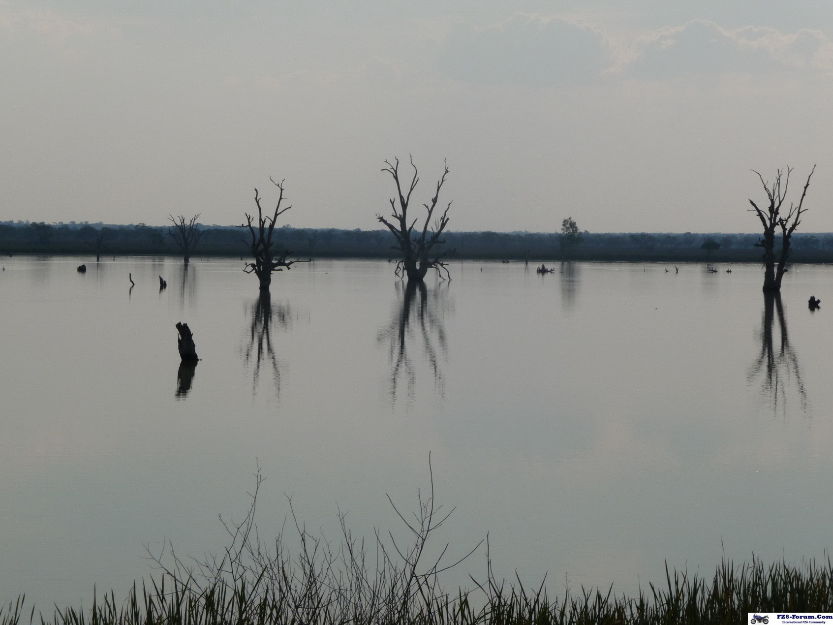 lake bonney -south australia