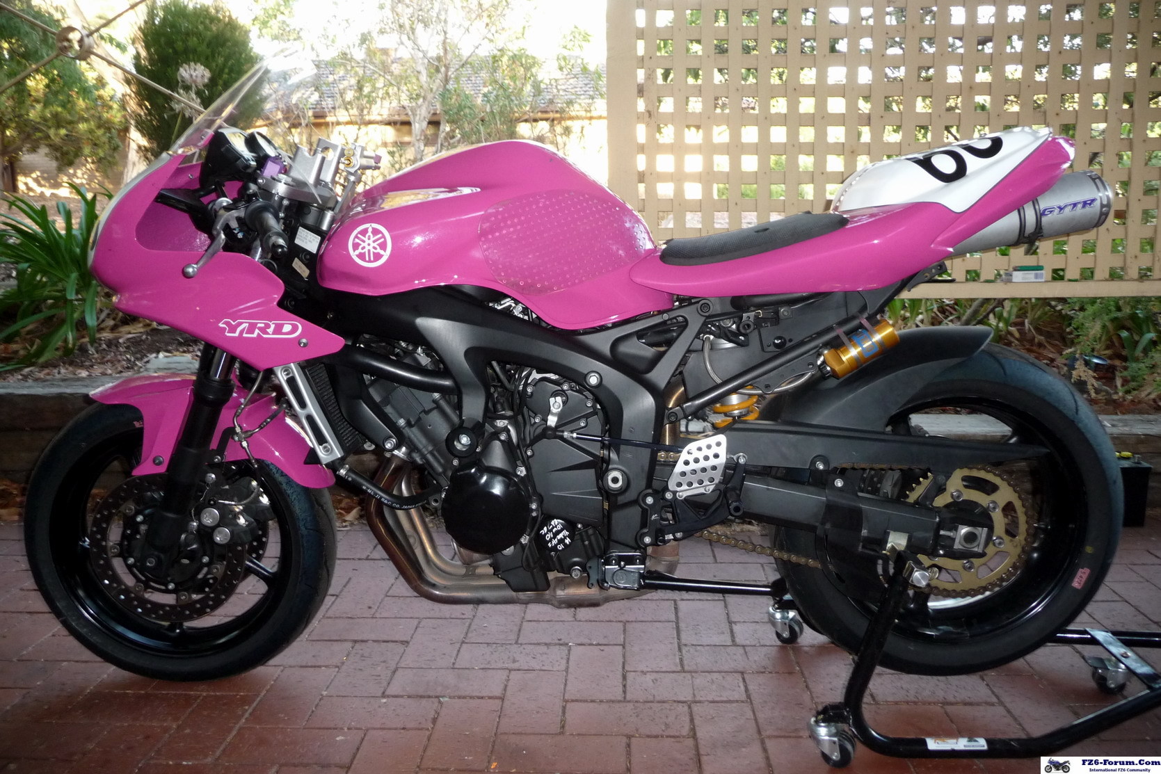 my fz6 cup race bike