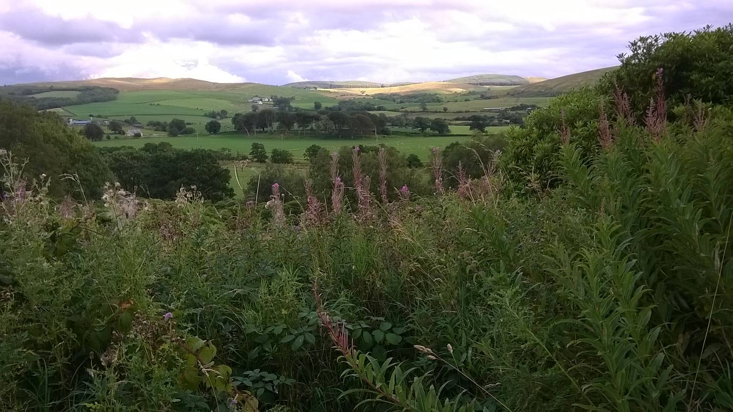 Near Dailly