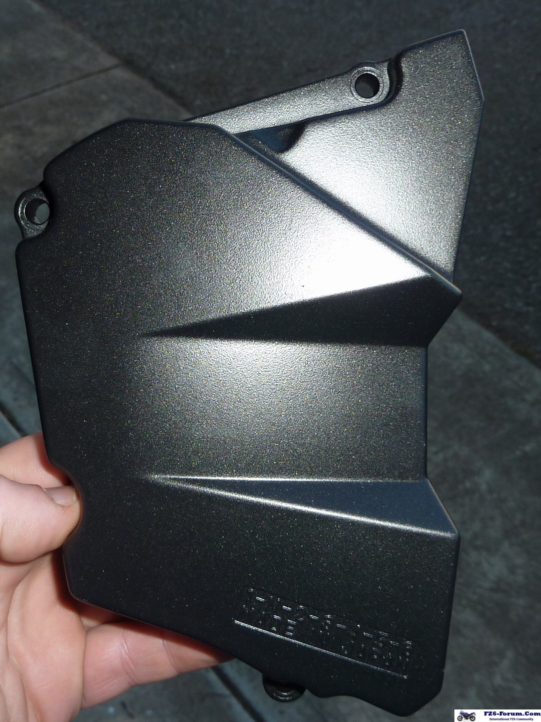 P1000338_resize_crop