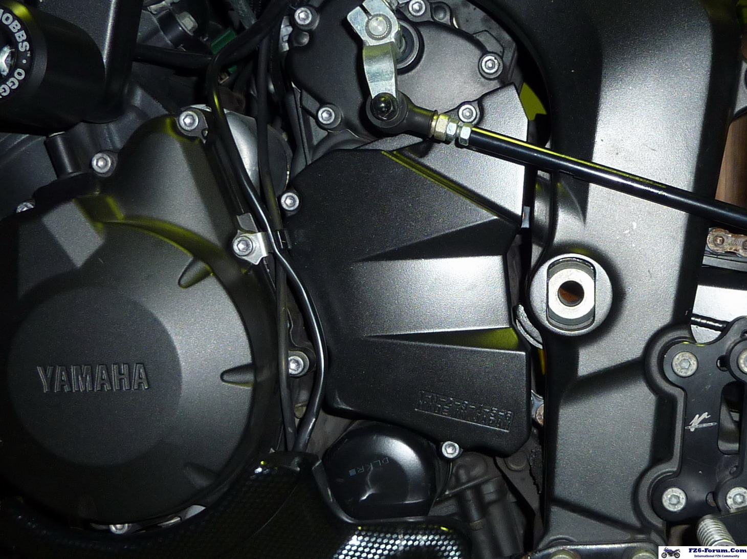 P1000370_resize_crop
