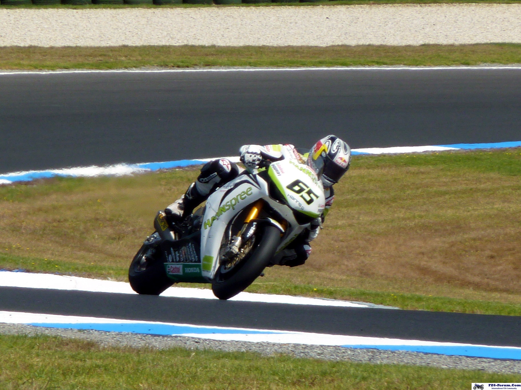 P1020993_crop