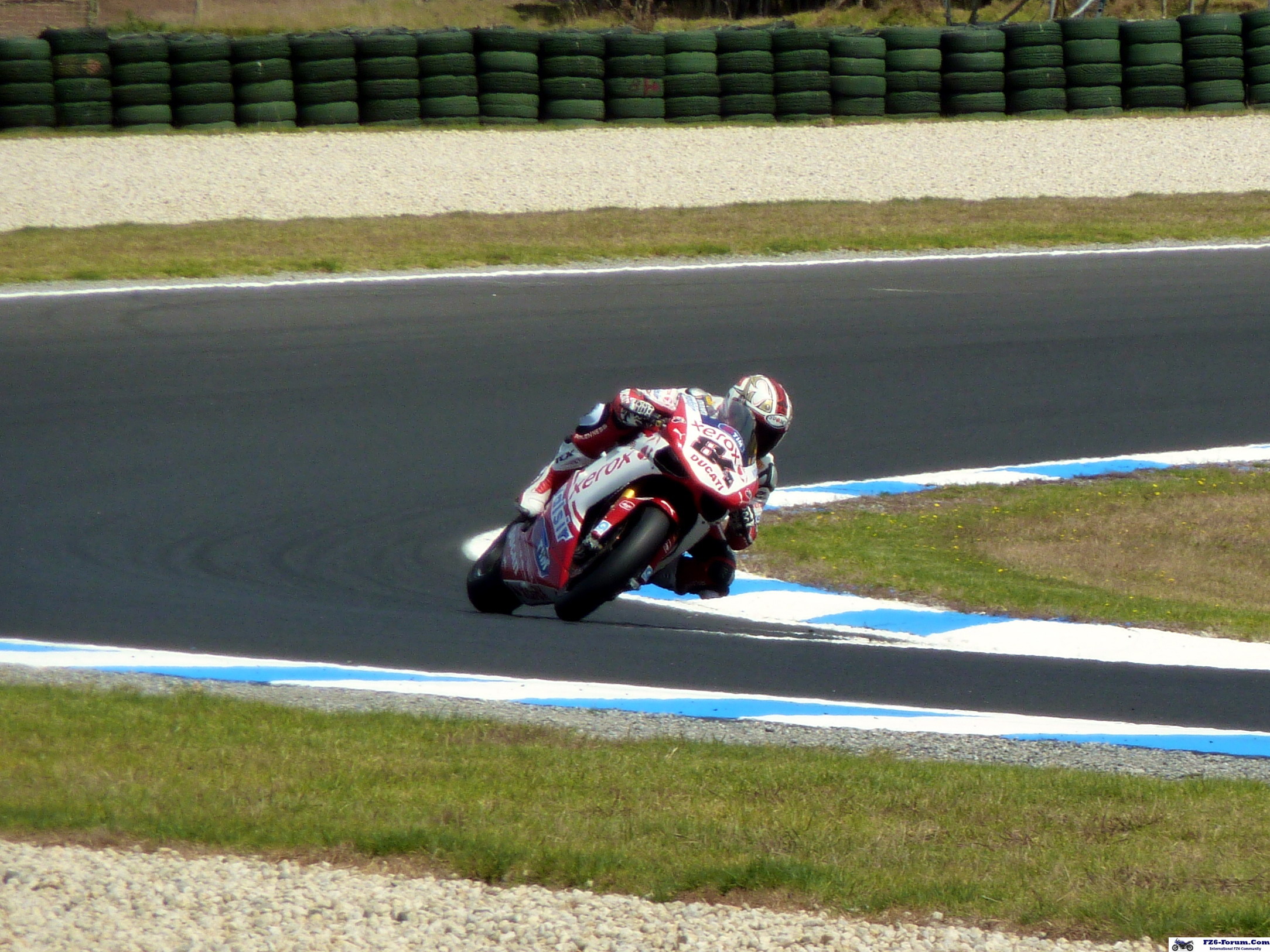 P1030005_crop