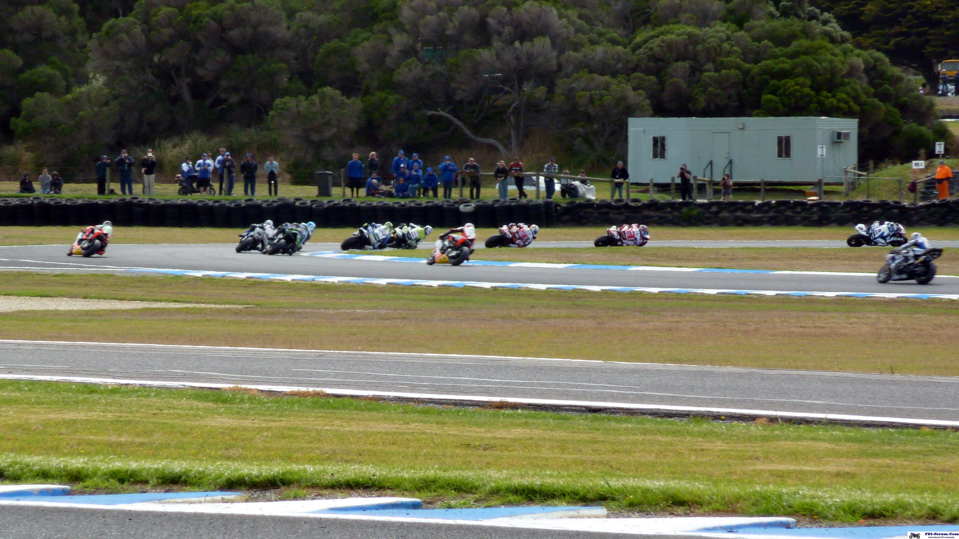 P1030288_crop