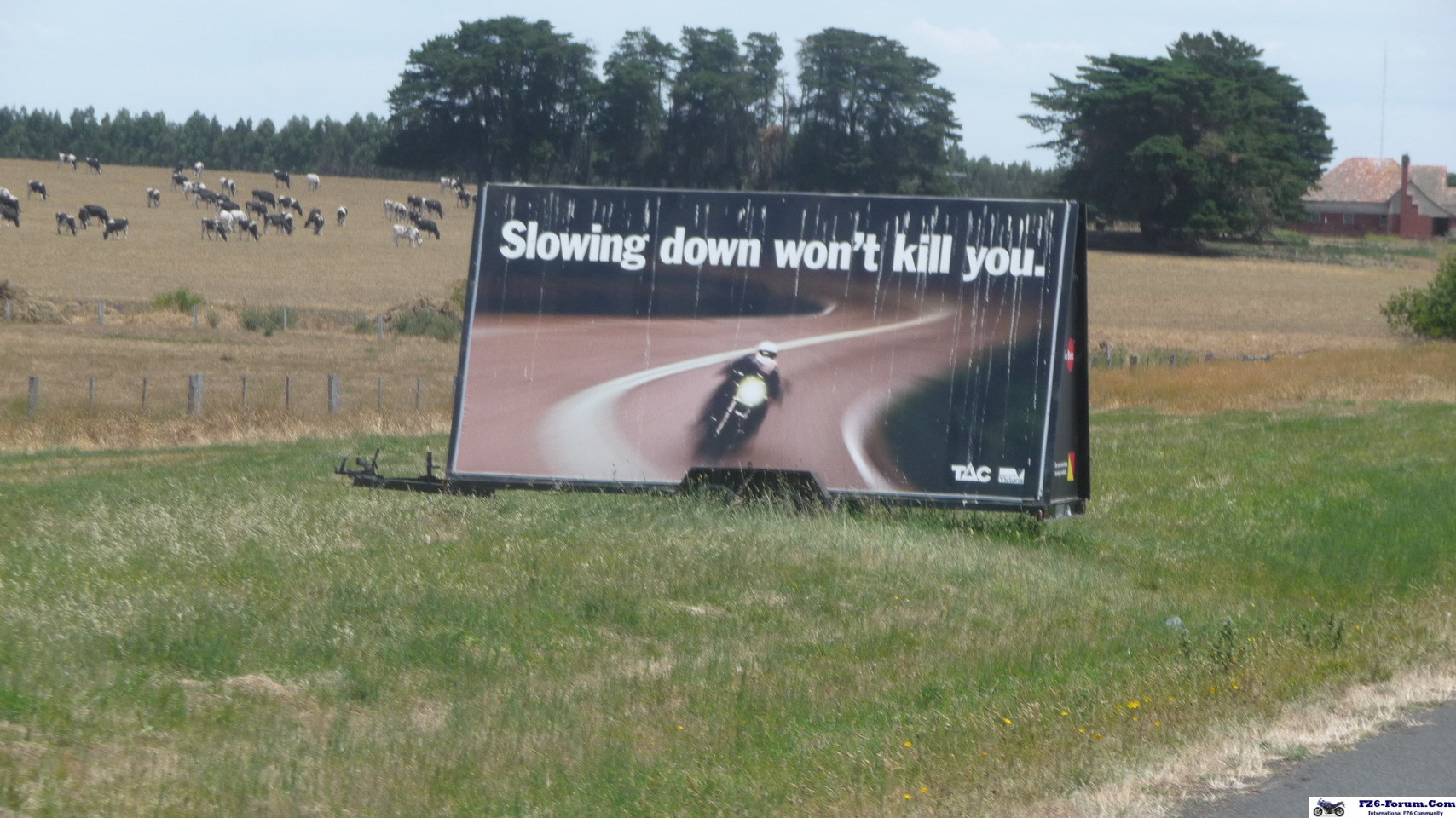 P1080268_Hmmm_