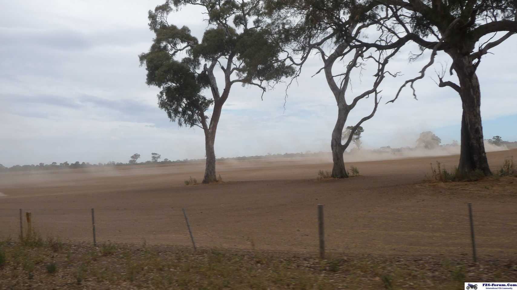 P1080344_drought_