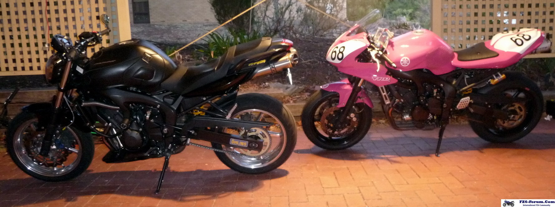 pinky and damien