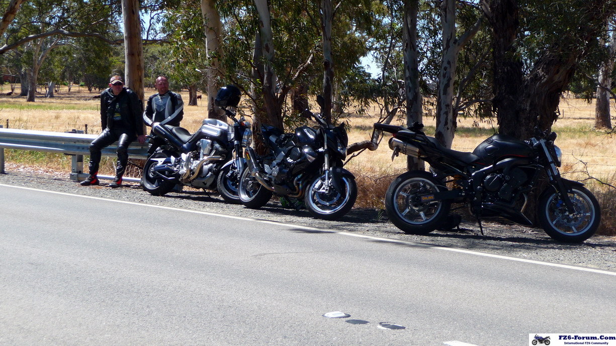 Silverback's Barbeque - Hill Climb Run