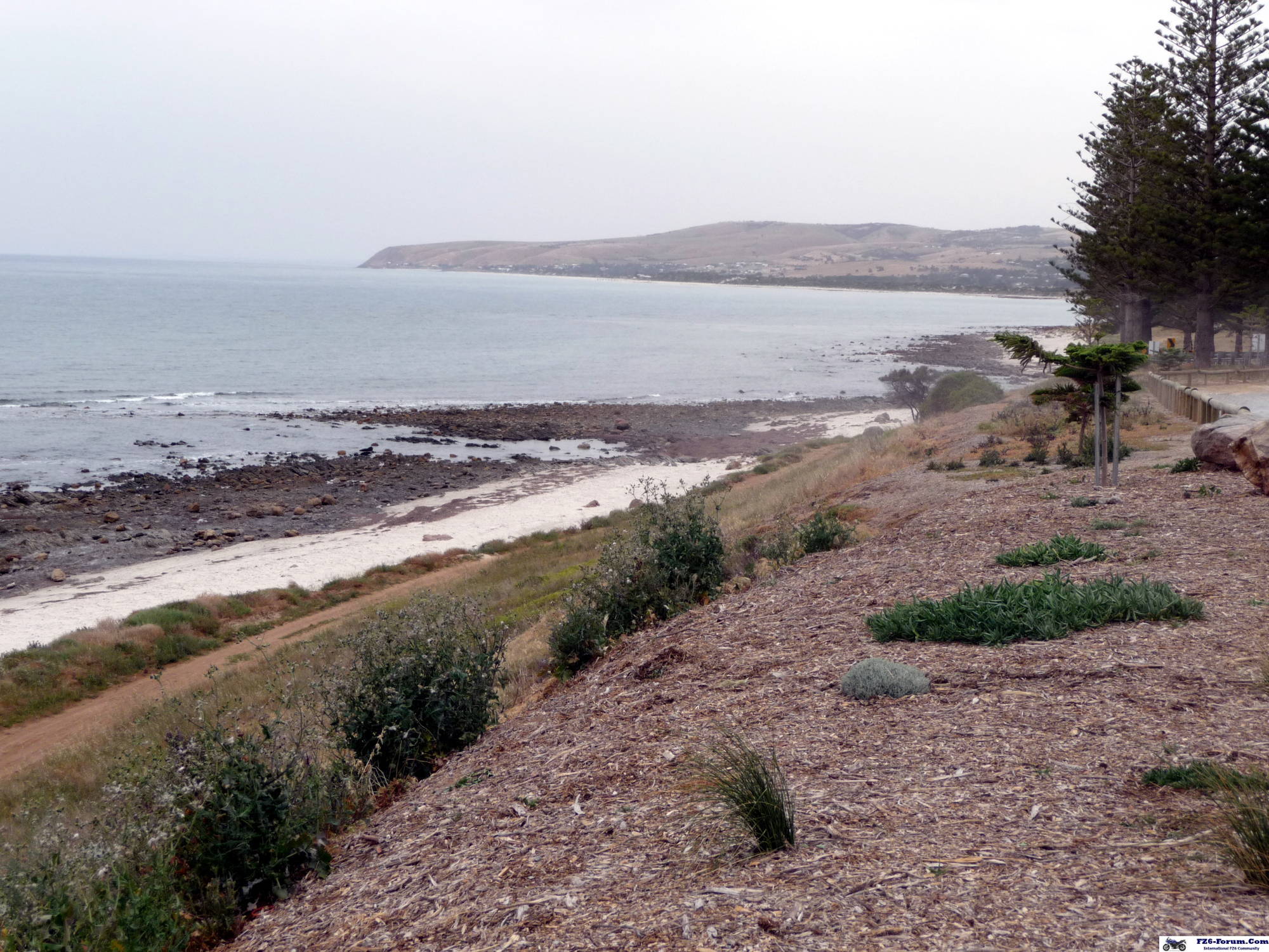 south coast