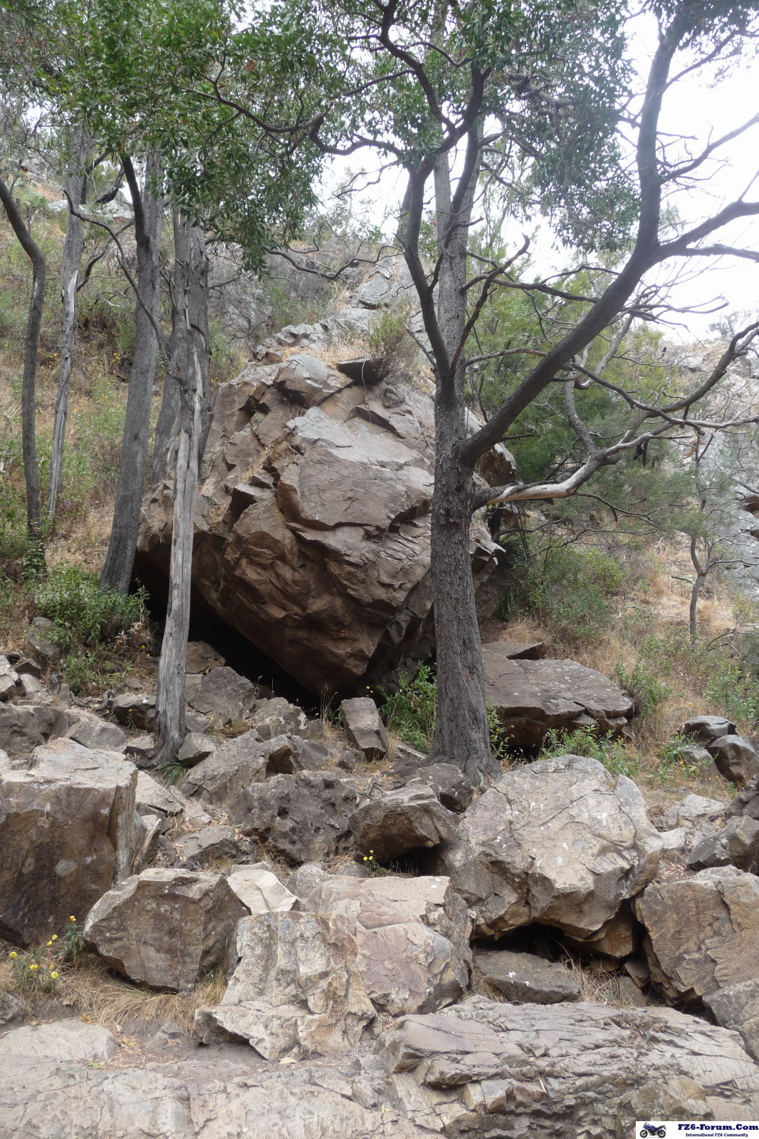 The Grampians