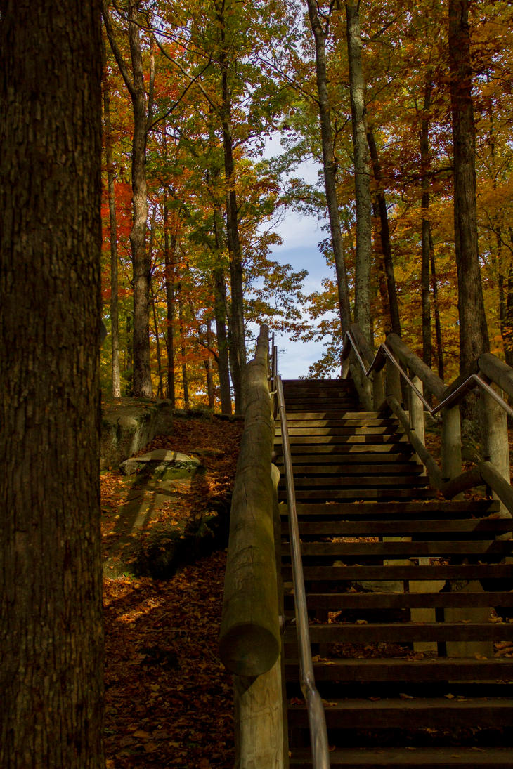 fall_2011_by_bryanwny-d665jru.jpg