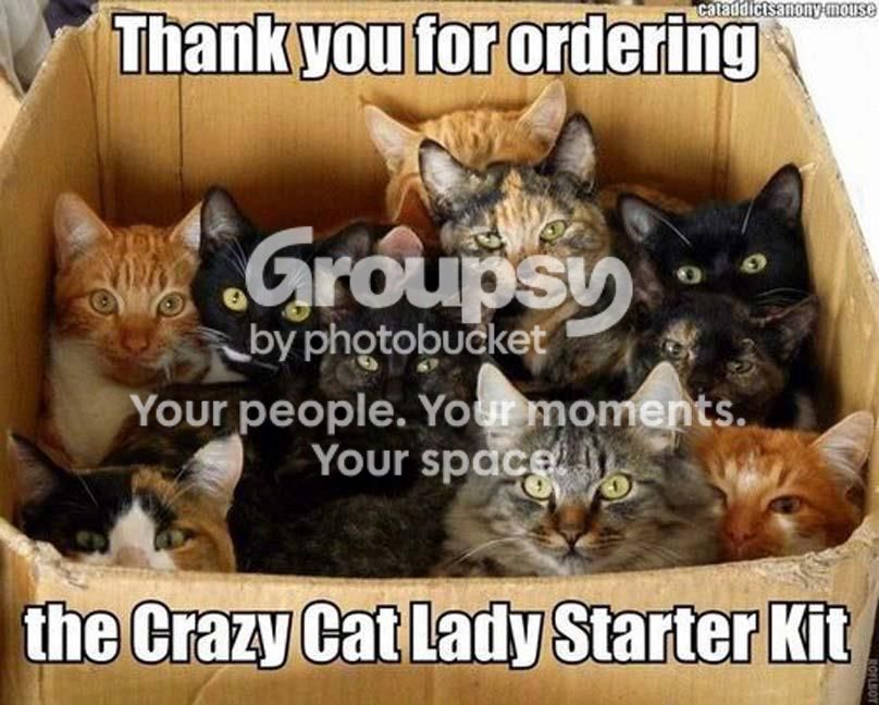 CatCrazy_zps131aa49a.jpg