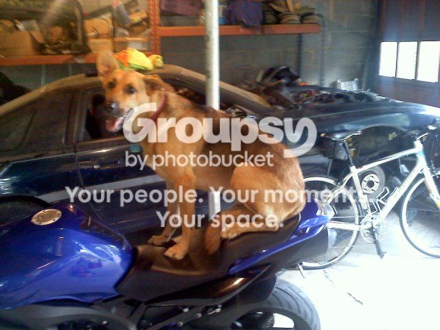 20120810133937.jpg