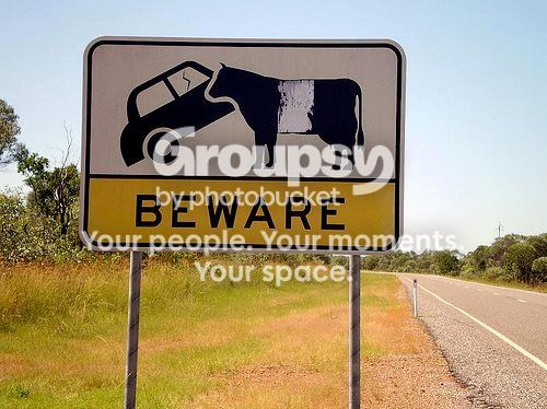 Signs.CowStoppie_zpsjy0om0xp.jpg