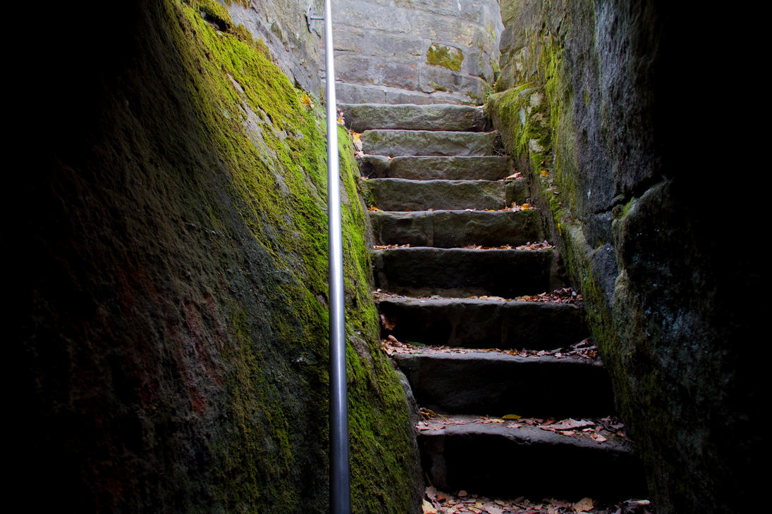 fall_2011_by_bryanwny-d665jwg.jpg