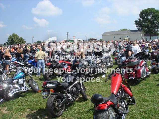 Lotsofbikesfz6.jpg