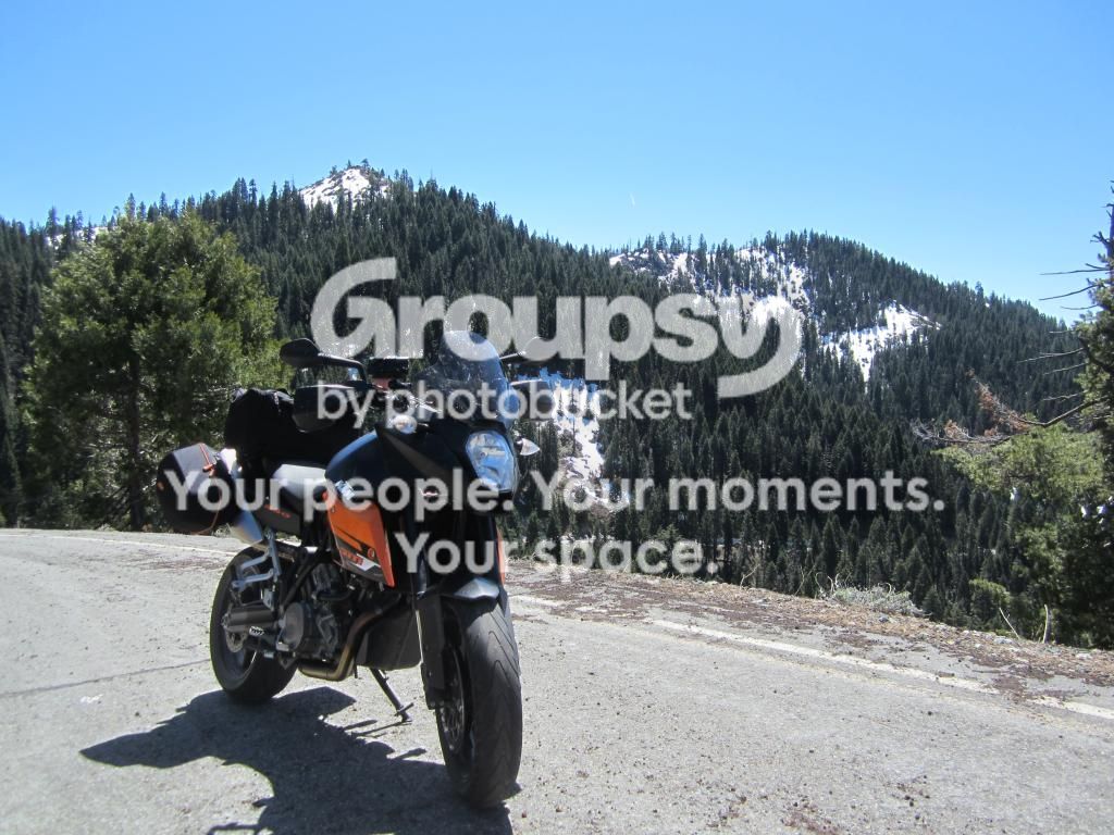 IMG_1164-1_zpsbc8310dc.jpg