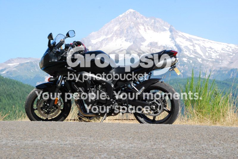 DSC_5381WEB.jpg